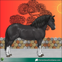 Horse Color:White Spotted Smoky Black