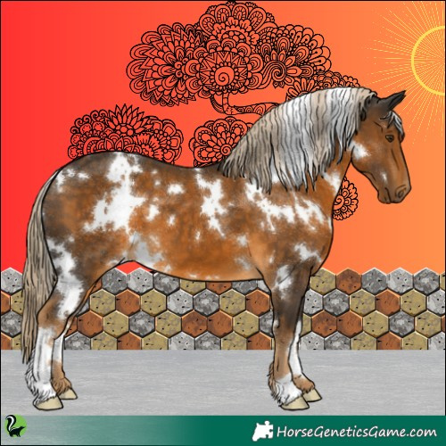 Horse Color:White Spotted Chocolate Palomino