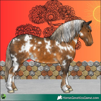 Horse Color:White Spotted Chocolate Palomino 