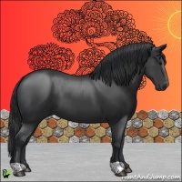 Horse Color:Black 