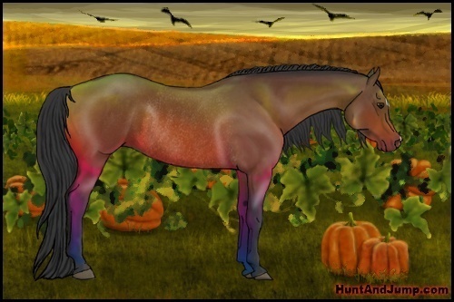 Horse Color:Bay Rabicano