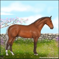 Horse Color:Silver Bay 