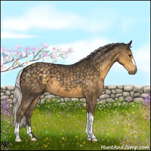 Horse Color:Silver Smoky Black 