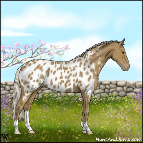 Horse Color:Silver Smoky Black Near Leopard 