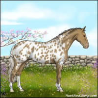 Horse Color:Silver Smoky Black Appaloosa 