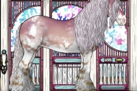 Horse Color:Silver Brown Pearl Sabino Splash Varnish 