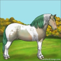 Horse Color:Watercolor Amber Champagne Tobiano Appaloosa