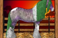 Horse Color:Watercolor Bay Ice Onyx Tobiano Appaloosa 