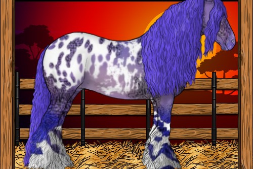 Horse Color:Watercolor Bay Ice Dun Tobiano Appaloosa 