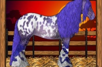 Horse Color:Watercolor Bay Ice Dun Tobiano Appaloosa 