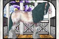 Horse Color:Watercolor Bay Ice Onyx Sabino 