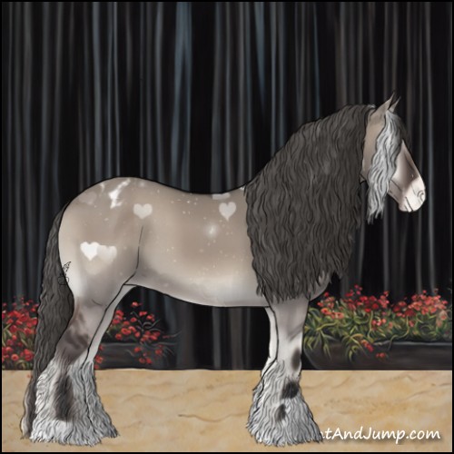 Horse Color:Grullo Onyx Appaloosa 