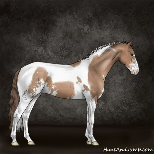 Horse Color:Black Pearl Sabino Tobiano