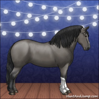 Horse Color:Grullo 