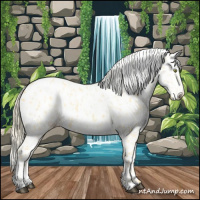 Horse Color:Palomino Dun Appaloosa  and Palomino Dun Appaloosa 