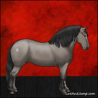Horse Color:Grullo 