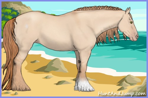 Horse Color:Gold Champagne Dun 