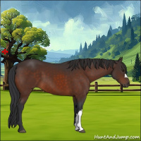 Horse Color:Brown 
