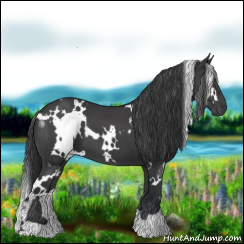Horse Color:White Spotted Black 