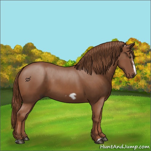Horse Color:Chestnut Splash Frame 