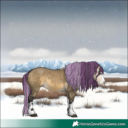 Horse Color:Painted Buckskin Dun Splash
