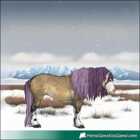 Horse Color:Painted Buckskin Dun Splash 