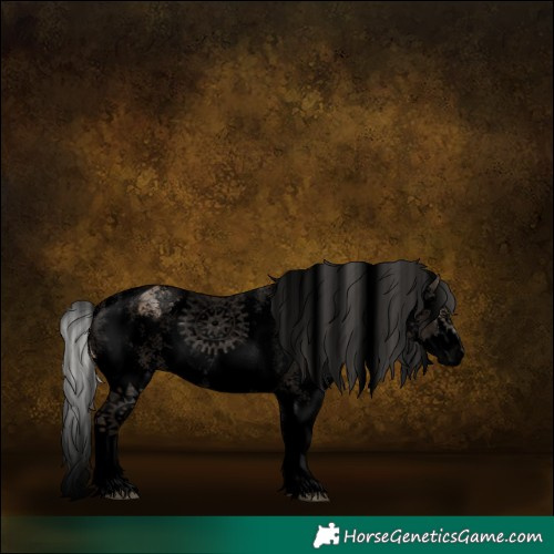 Horse Color:Void Silver Bay Ice Dun Sabino Splash Appaloosa