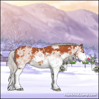 Horse Color:Silver Brown Ice Sabino 