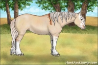 Horse Color:Silver Bay Dun Sabino Splash 