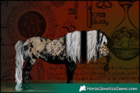 Horse Color:Void White Spotted Silver Buckskin Dun Sabino Splash Rabicano 