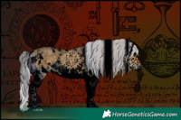 Horse Color:Void White Spotted Silver Buckskin Dun Sabino Splash Rabicano 