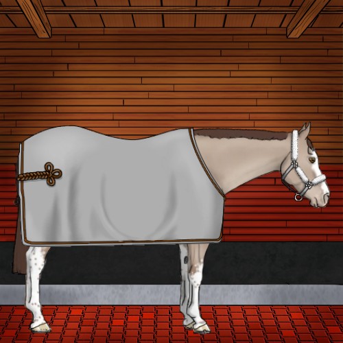 Horse Color:White Spotted Classic Champagne Dun Sabino Varnish