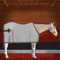 Horse Color:White Spotted Classic Champagne Dun Sabino Varnish 