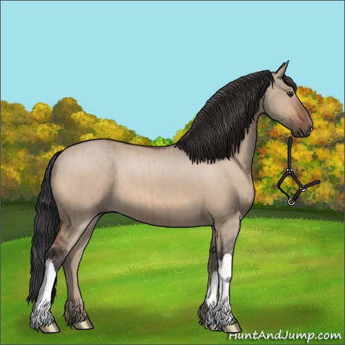 Horse Color:Brown Dun Brindle