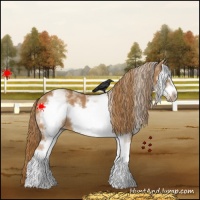 Horse Color:White Spotted Chestnut Frame