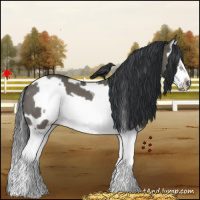 Horse Color:White Spotted Grullo Splash Frame 