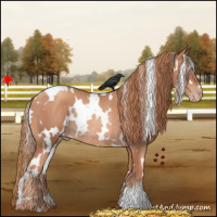 Horse Color:White Spotted Gold Champagne Rabicano