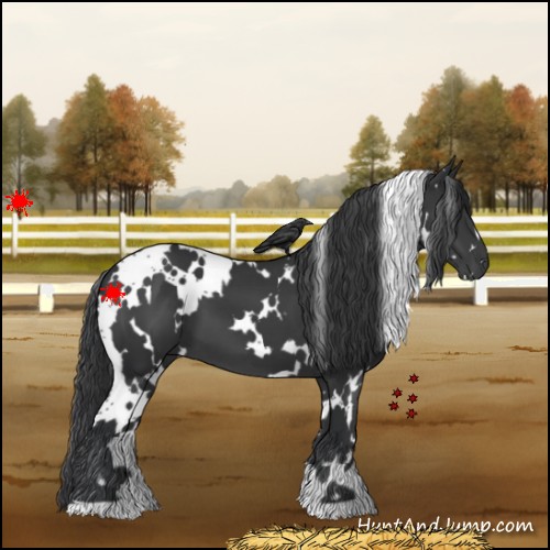 Horse Color:White Spotted Black 