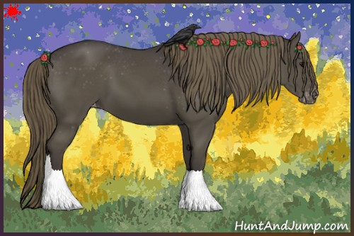 Horse Color:Smoky Black Varnish 