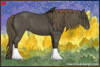 Horse Color:Smoky Black Varnish 