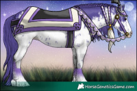Horse Color:Watercolor White Spotted Black