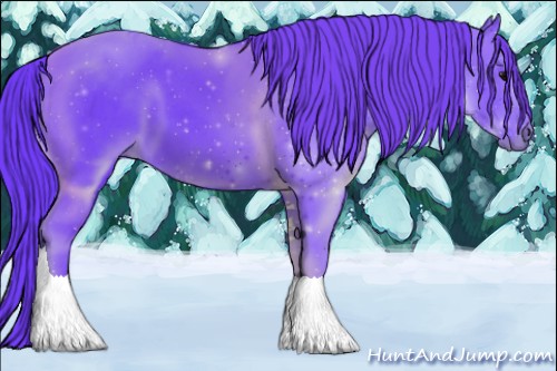 Horse Color:Watercolor Black Sabino 