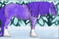 Horse Color:Watercolor Black Sabino 