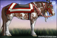 Horse Color:White Spotted Liver Chestnut 