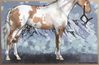 Horse Color:White Spotted Silver Brown Pearl