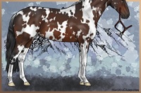 Horse Color:White Spotted Brown 