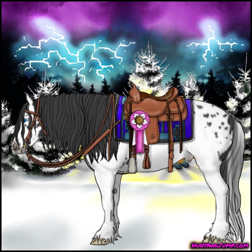 Horse Color:Black Splash Frame Appaloosa 