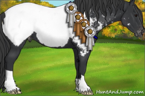 Horse Color:Black Near Fewspot