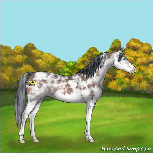Horse Color:Painted White Spotted Brown Ice Splash 