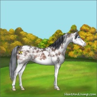 Horse Color:Painted White Spotted Brown Ice Splash 